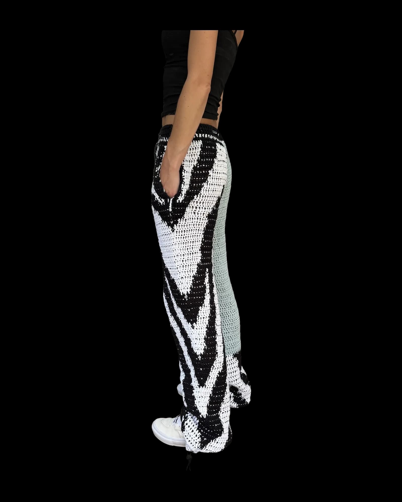 Zebra, photograph 4