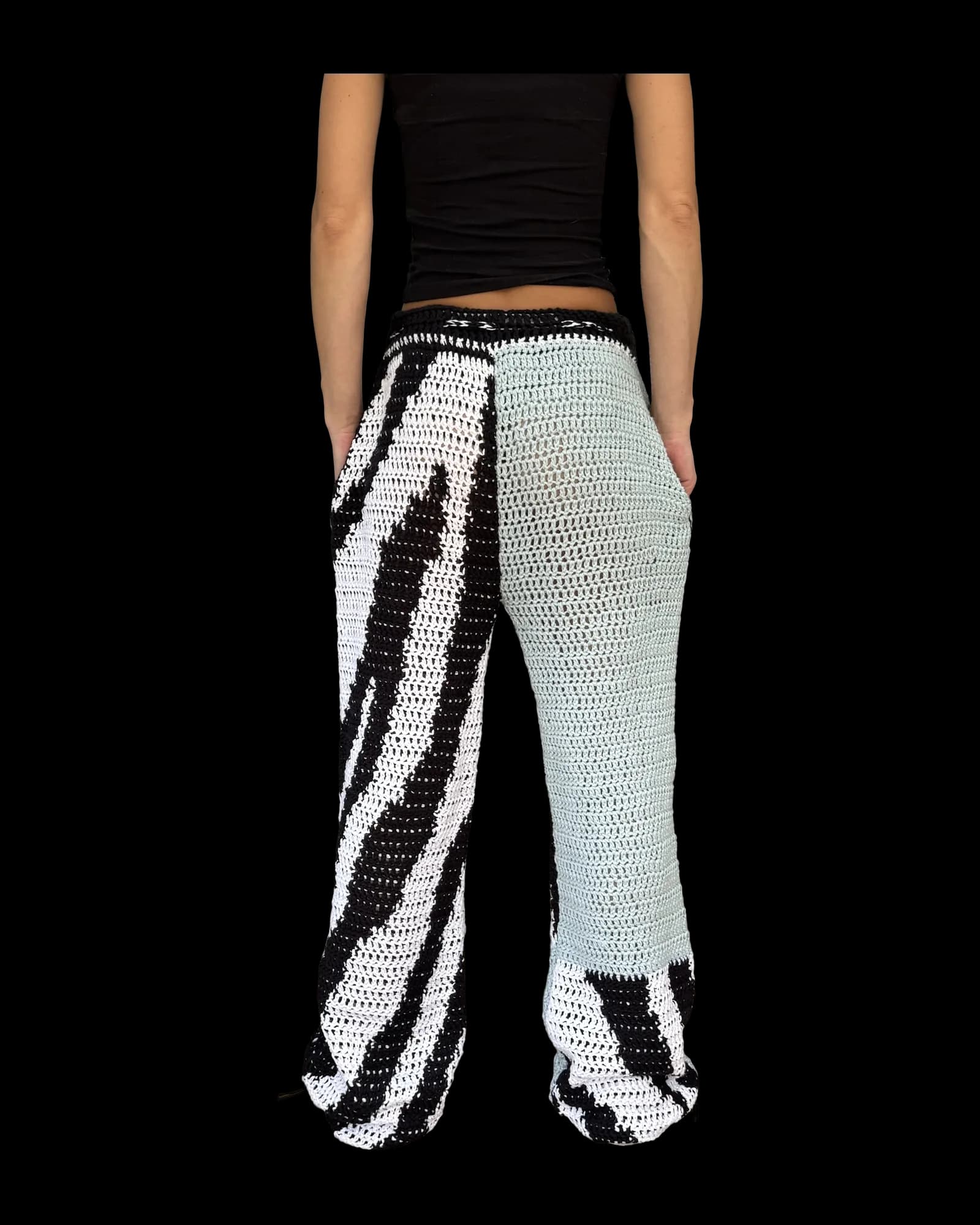 Zebra, photograph 2